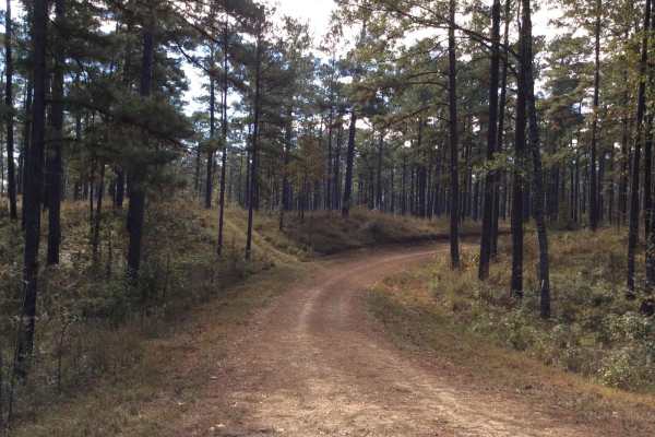 HCNF 103B Cheek Trail