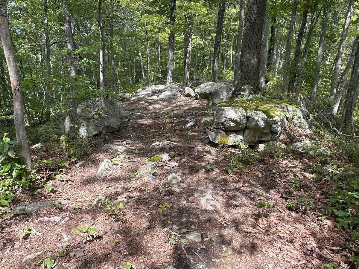 Rattler Ridge photo 5