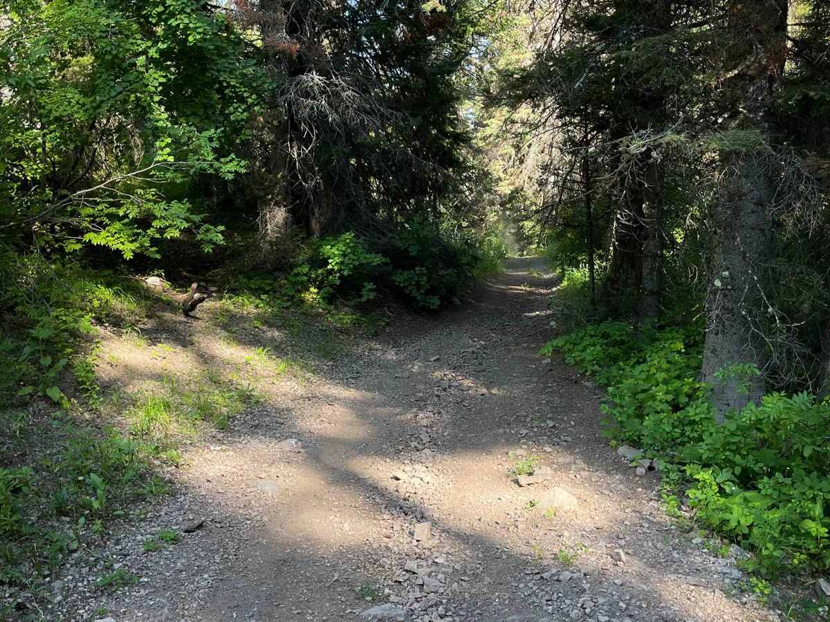 North Grove Creek photo 5
