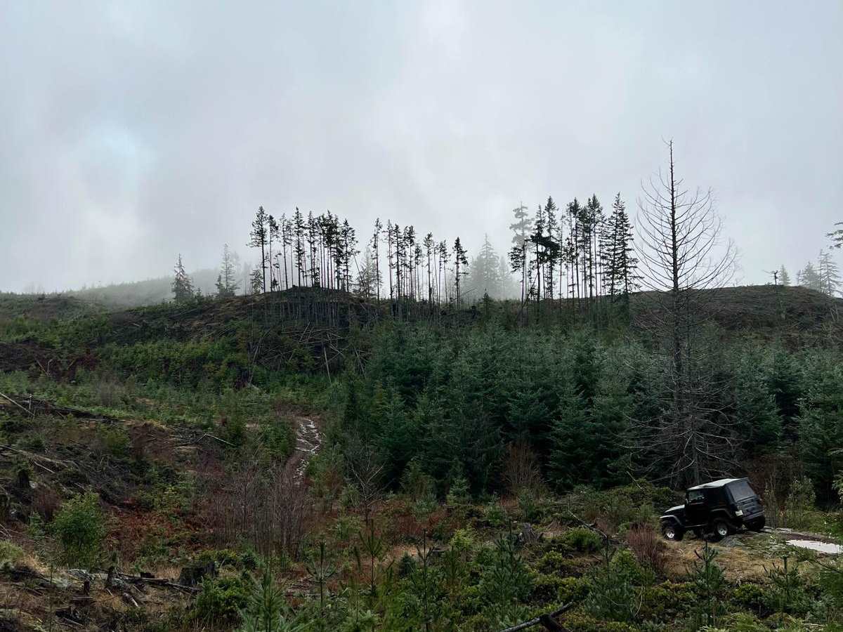 EaglesNest photo 3