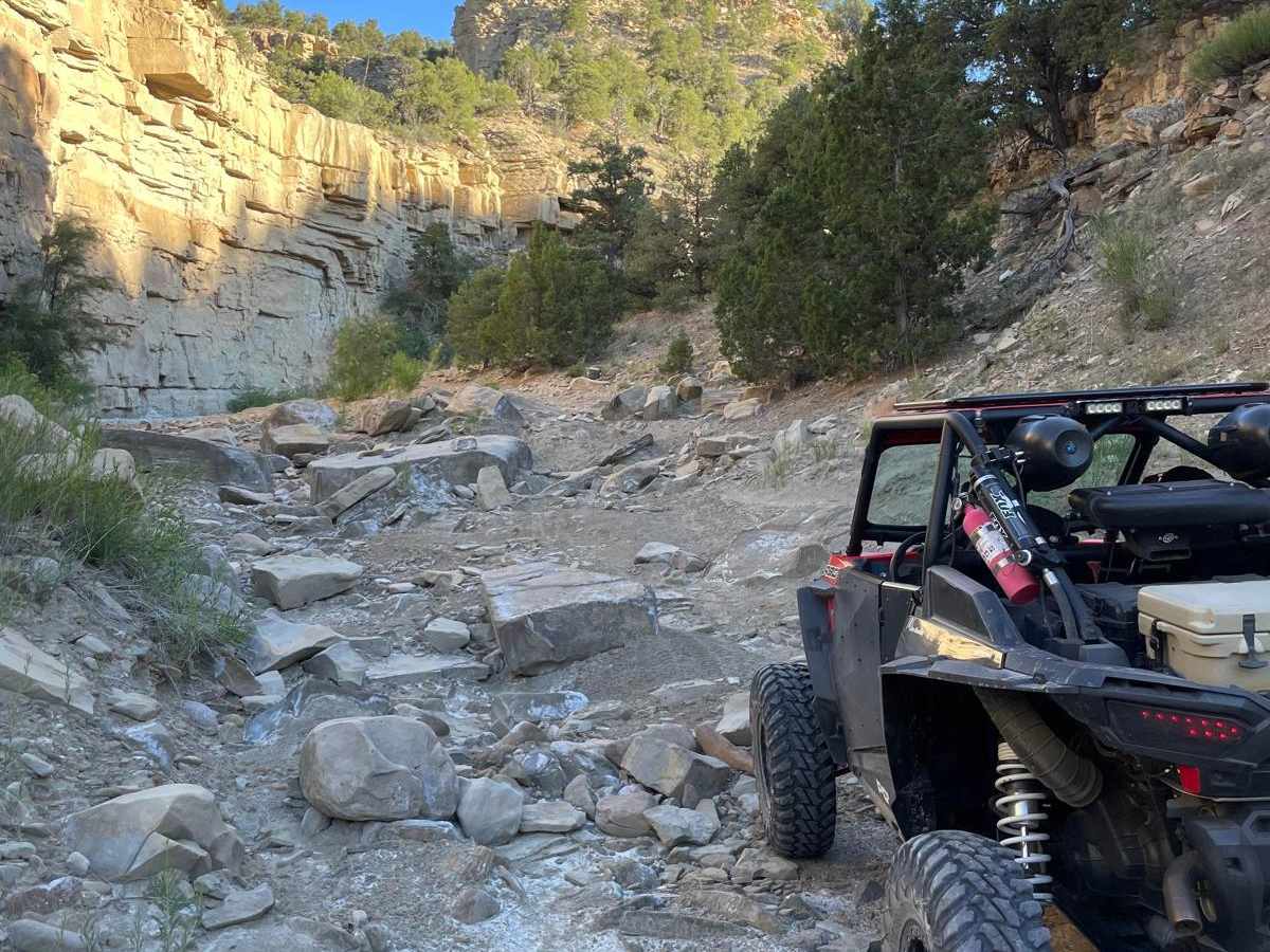 Pinnacle 1 trail photo