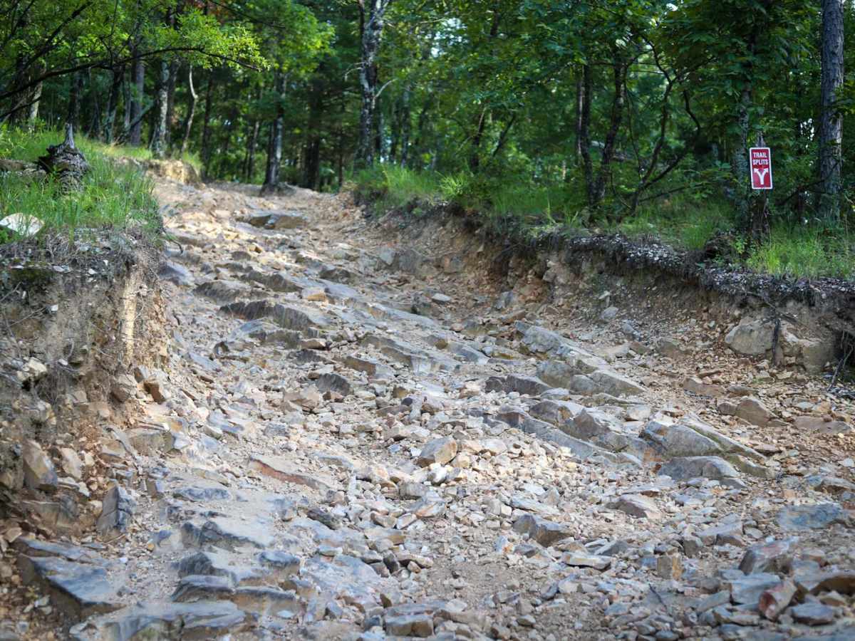 F19 Snake trail photo