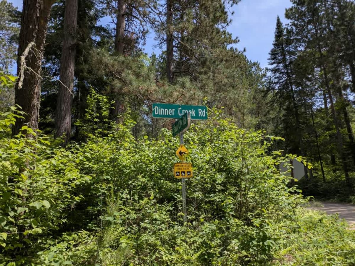 2194 trail photo