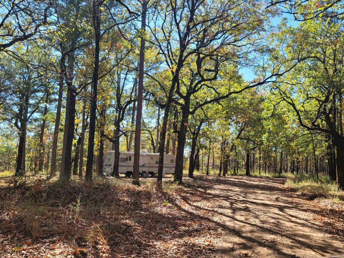 Deer Camp trail photo
