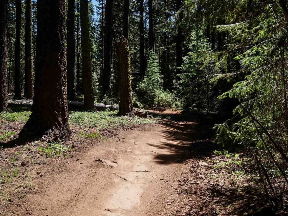 576C trail photo