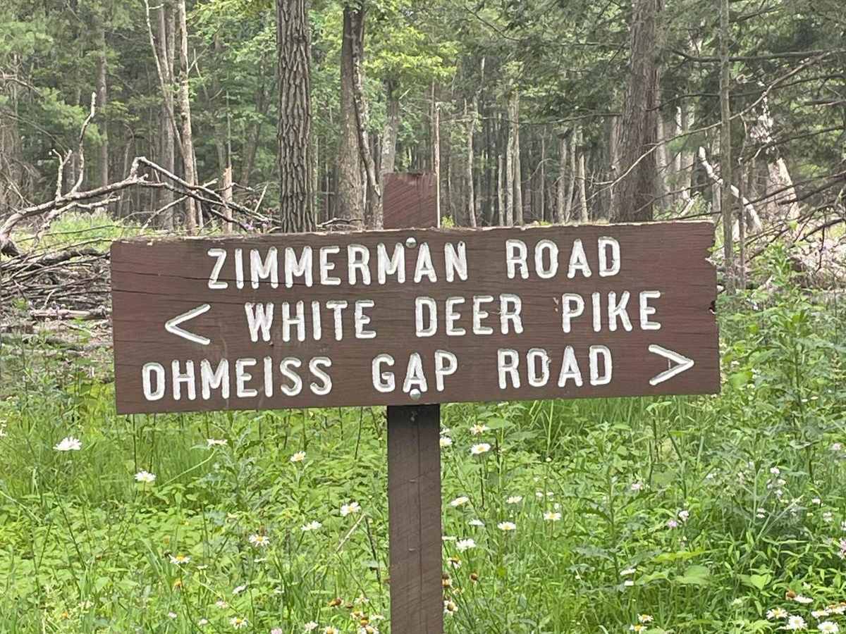 Zimmerman Road trail photo