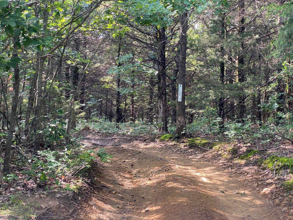 Randy's Relief trail photo