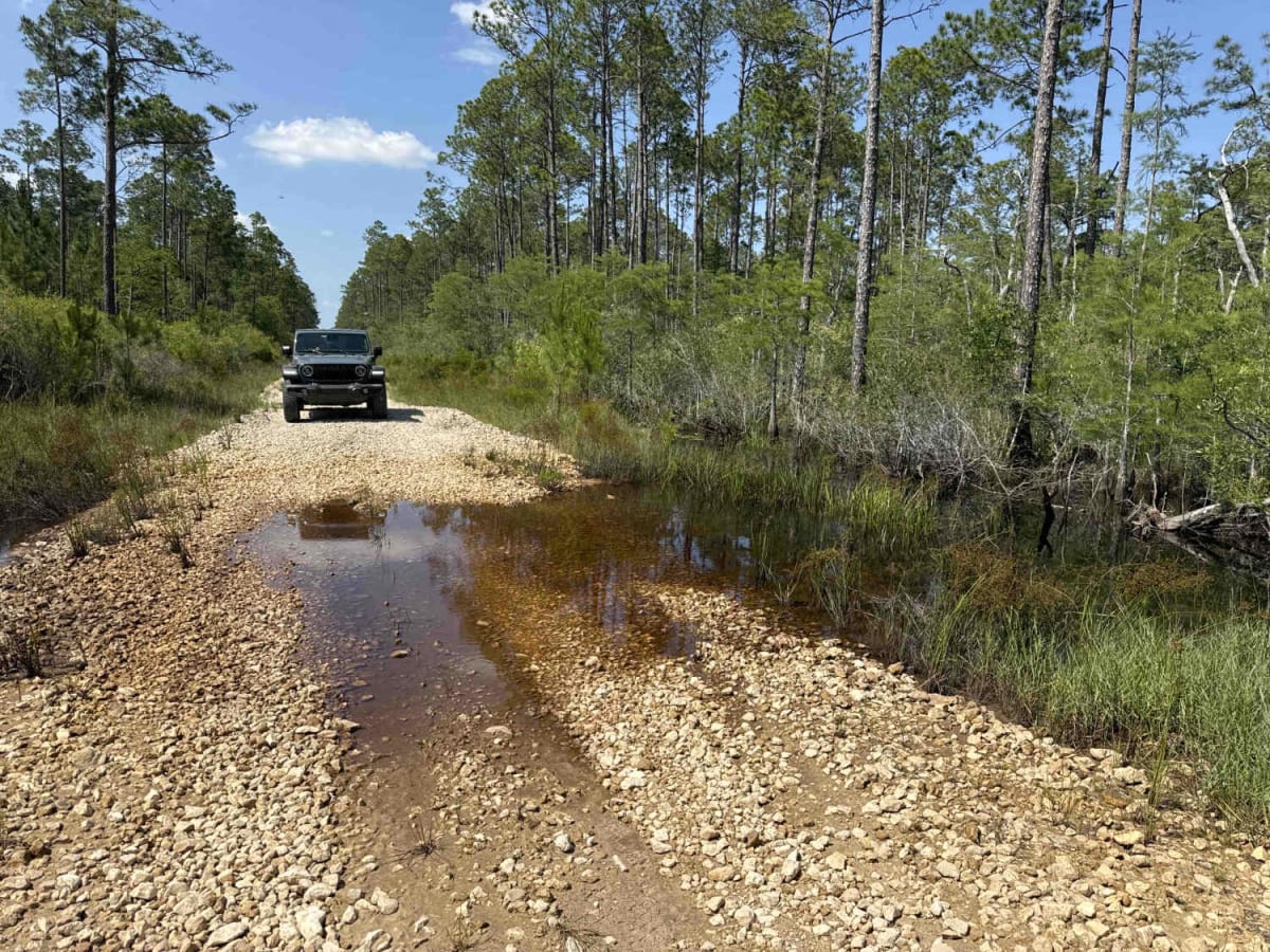 West Boundary Road trail photo