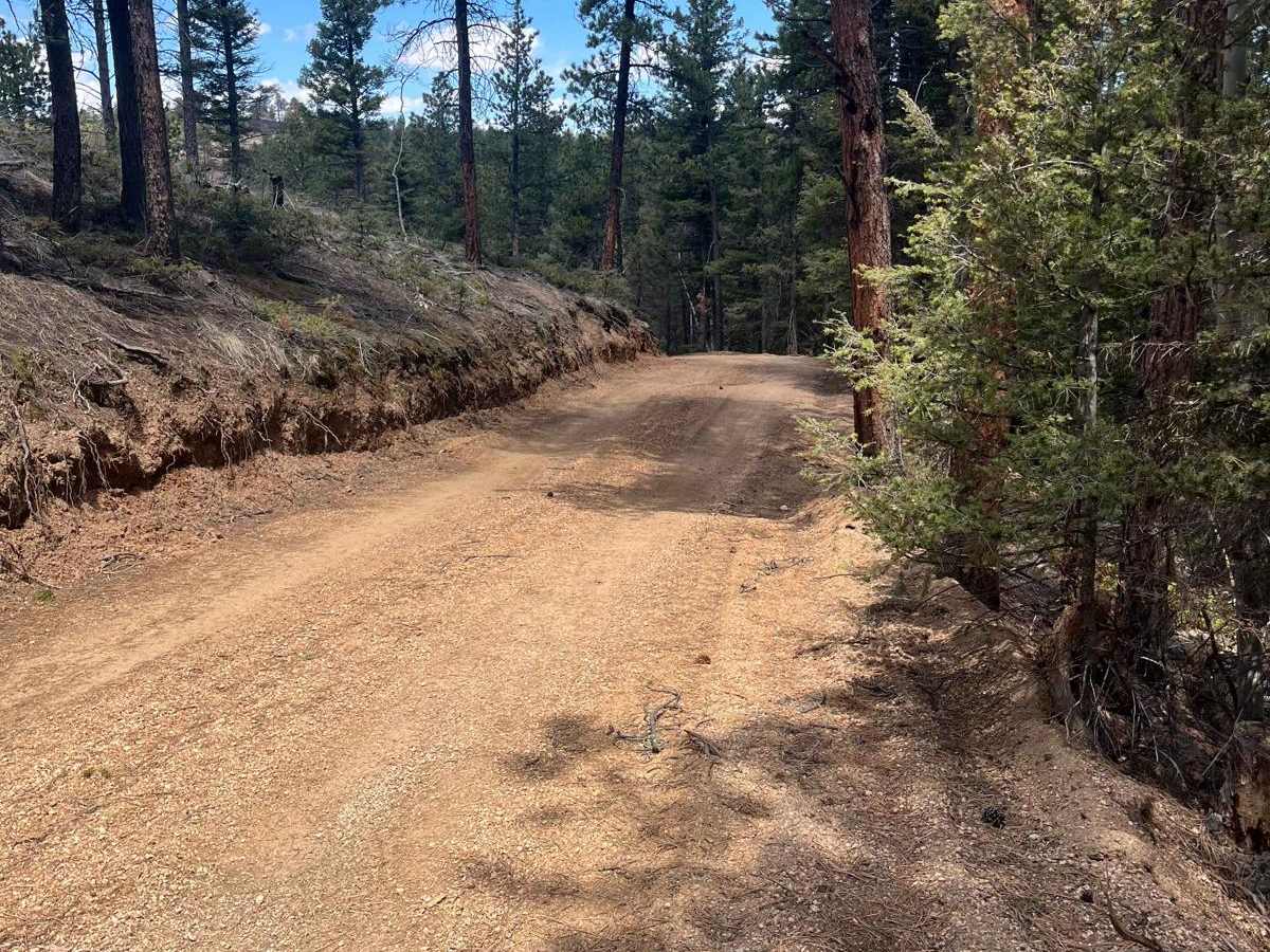 Ensign Gulch Road FR 314 photo 3