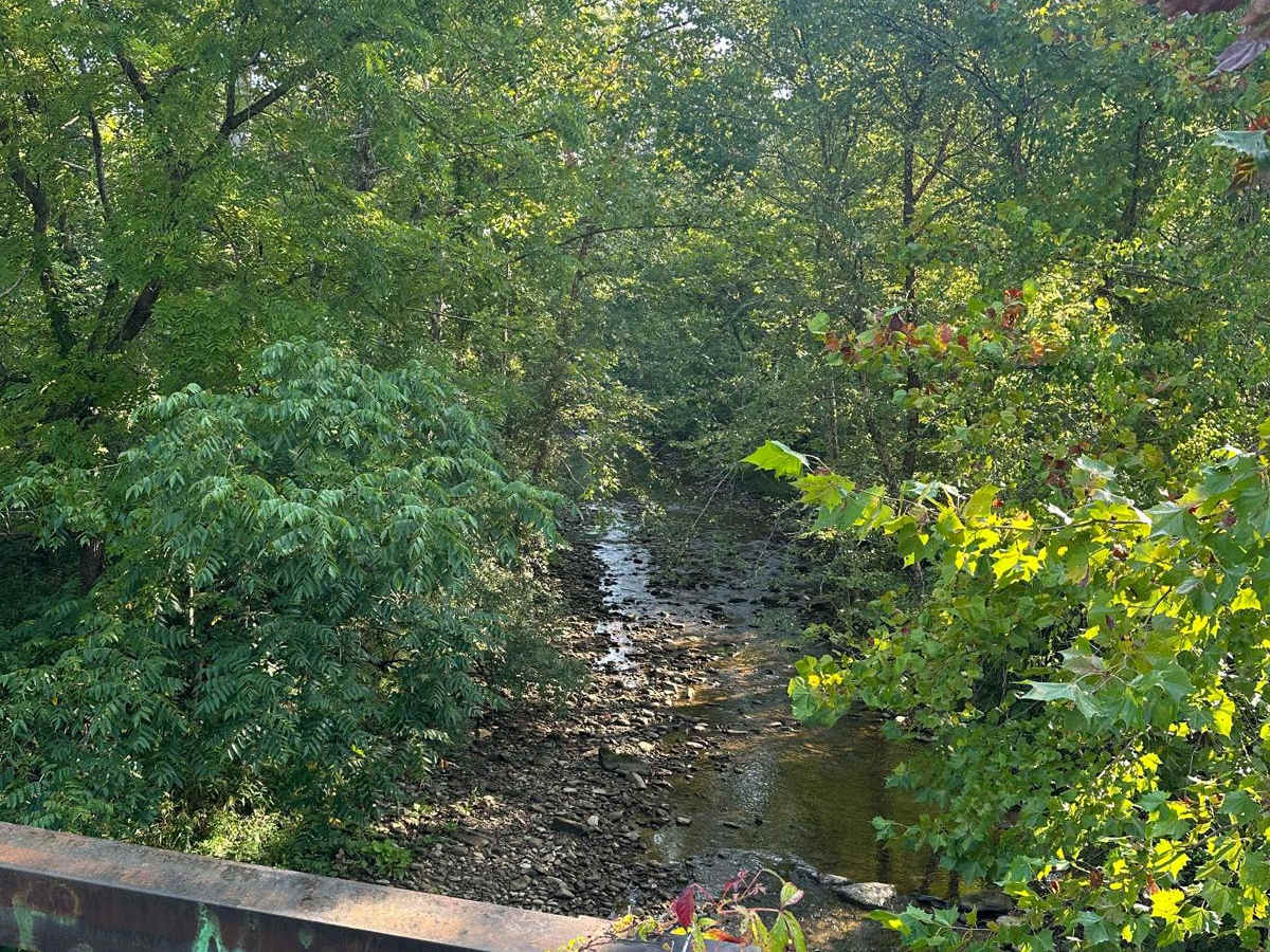 Gabe's Branch Road photo 6