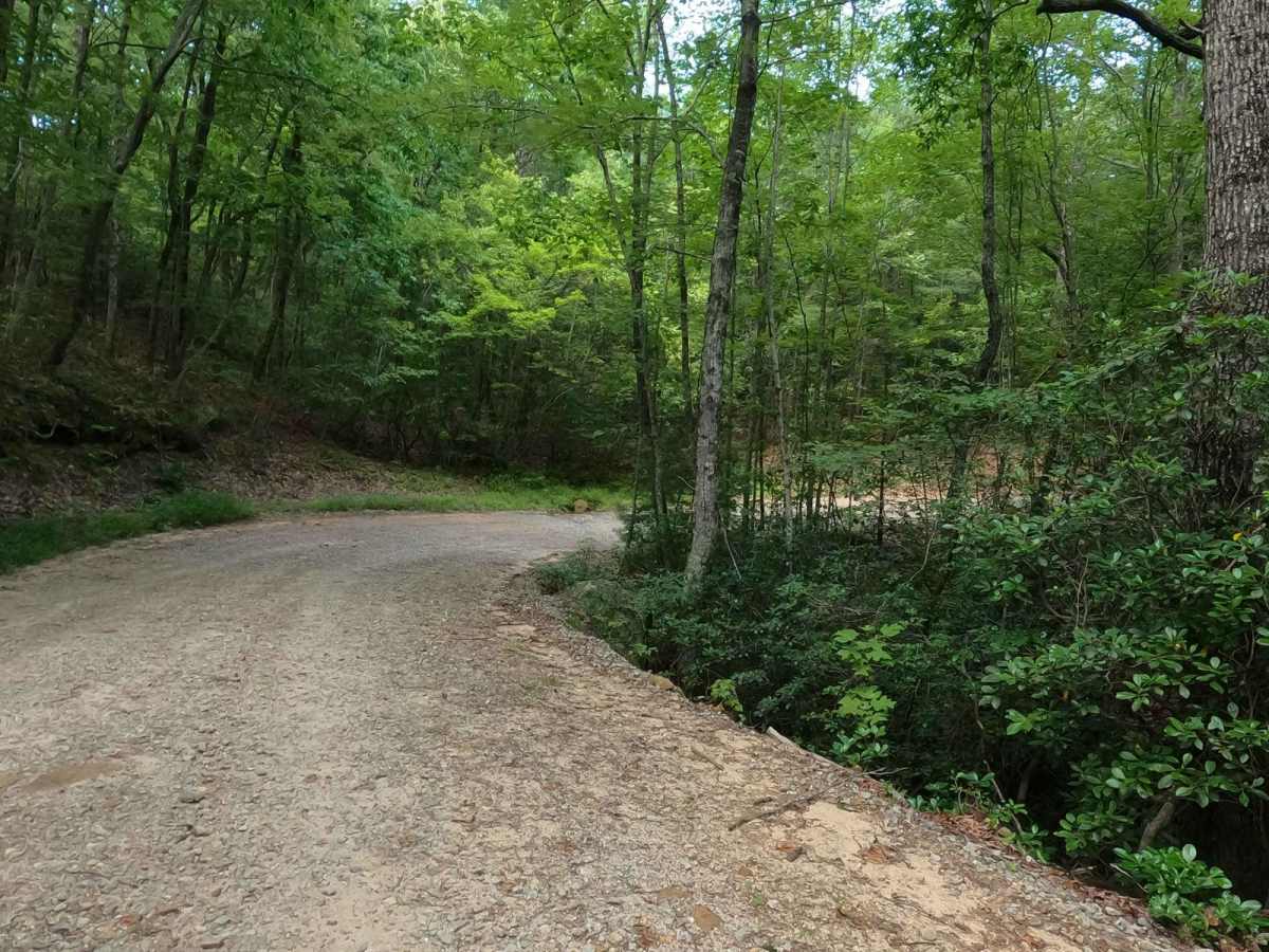 Rock Mountain Road trail photo