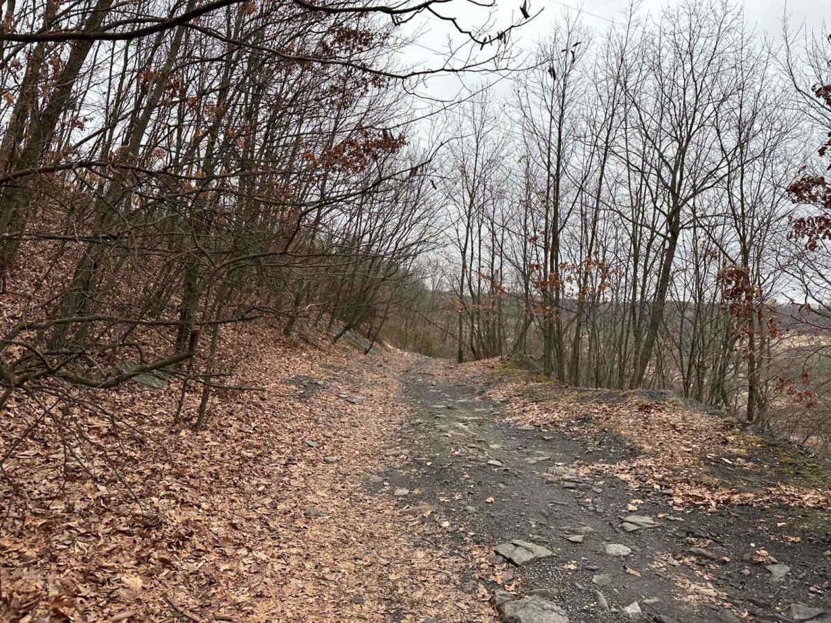 Marion Bridge Trail photo 4