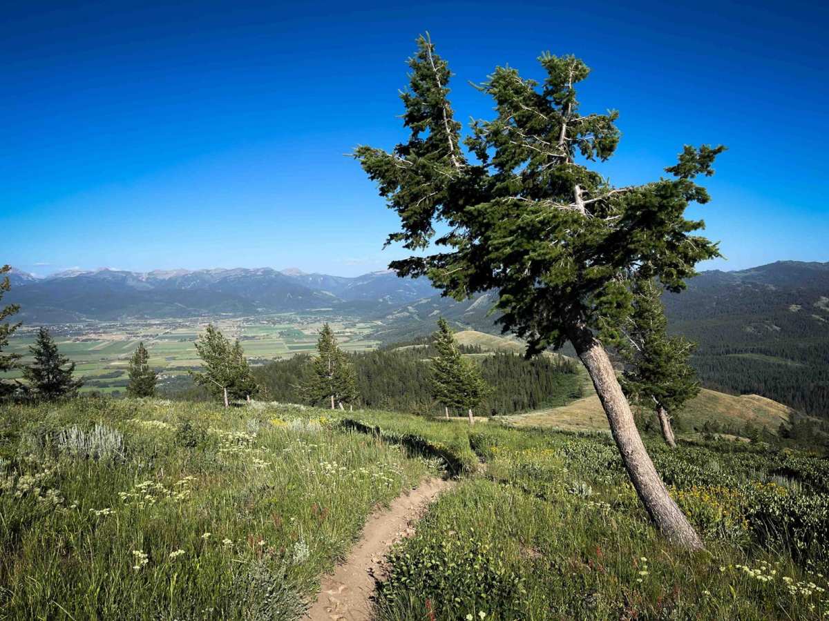 Rocky Peak trail photo