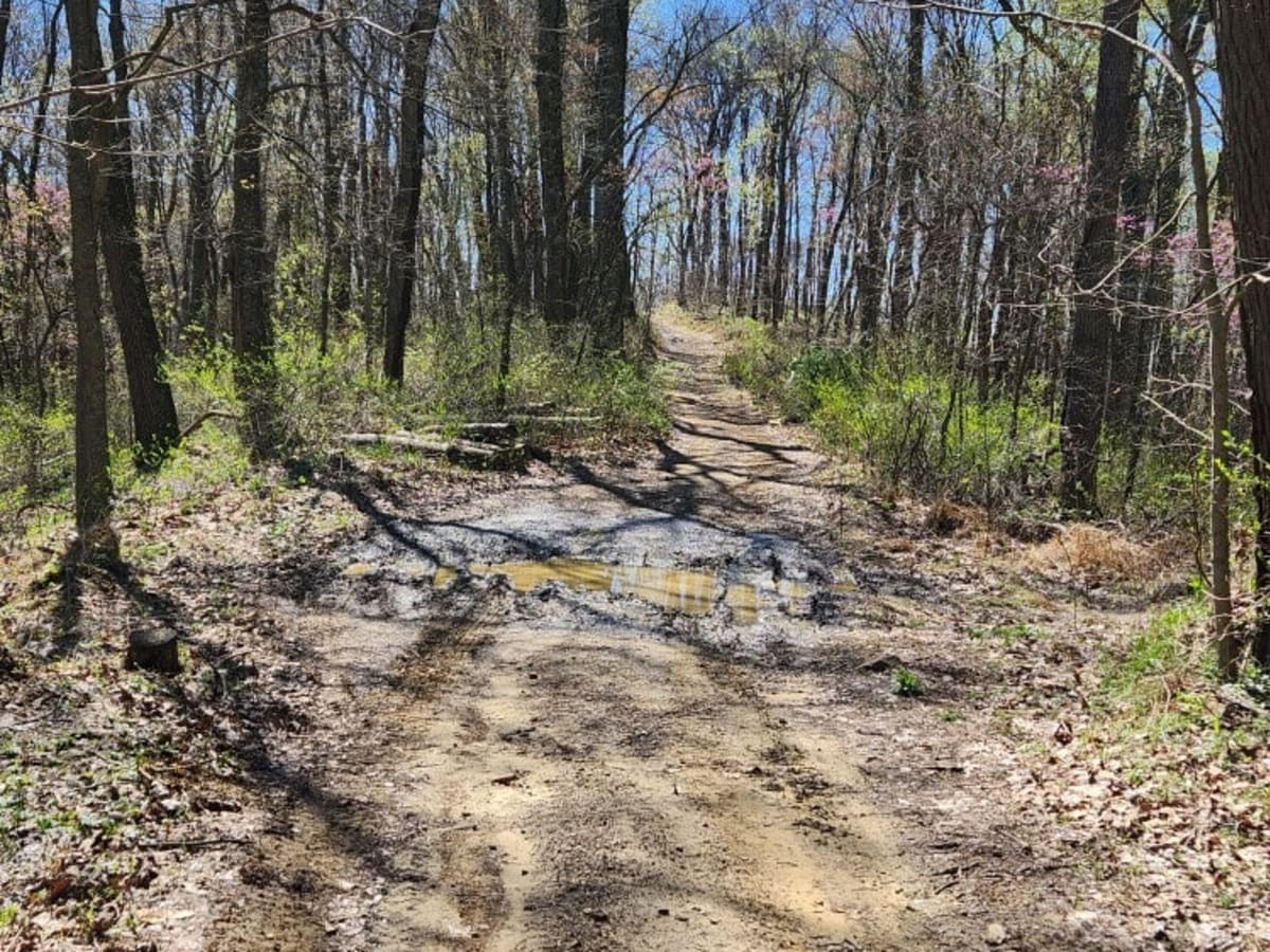 Sunshine Ridge Road photo 4