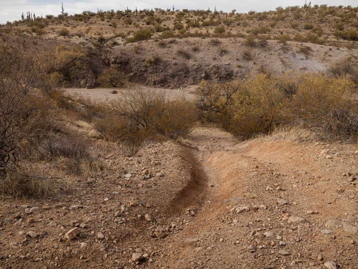 Dead Horse Wash photo 3