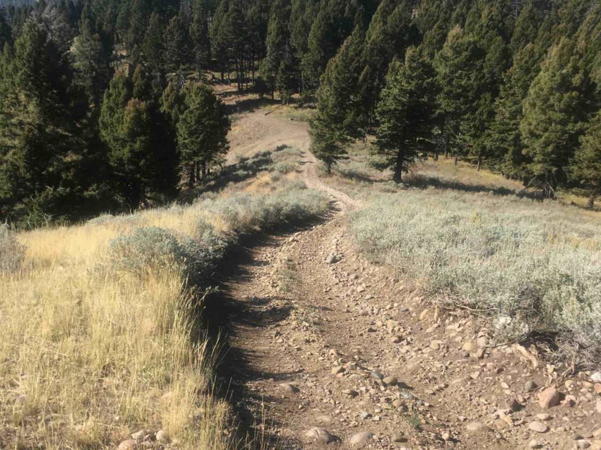 Stoddard Creek Ridge Trail trail photo