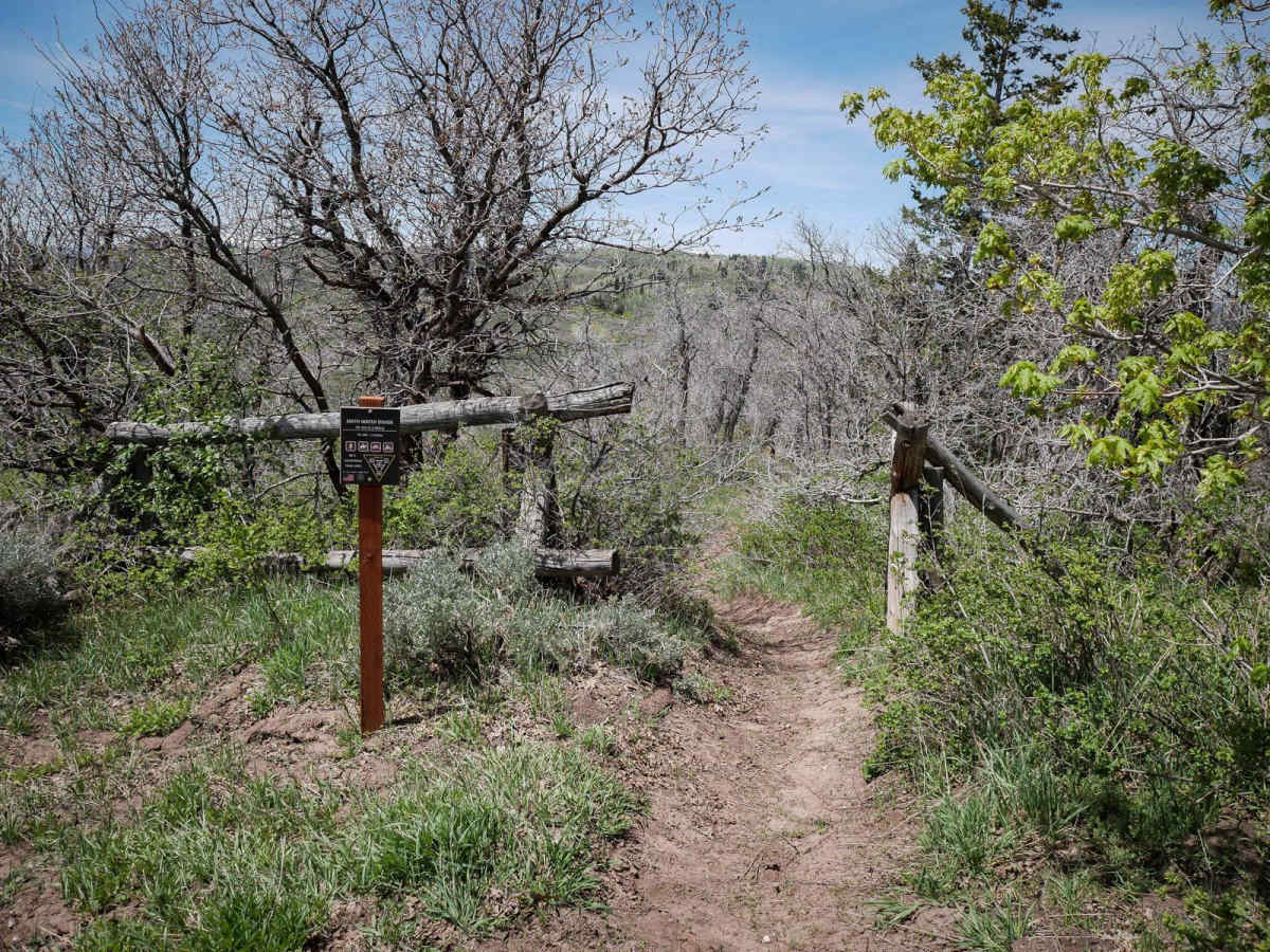 Sixth Water Divide #014 photo 2