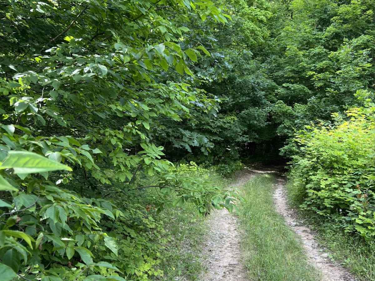 Boiling Springs Loop photo 2