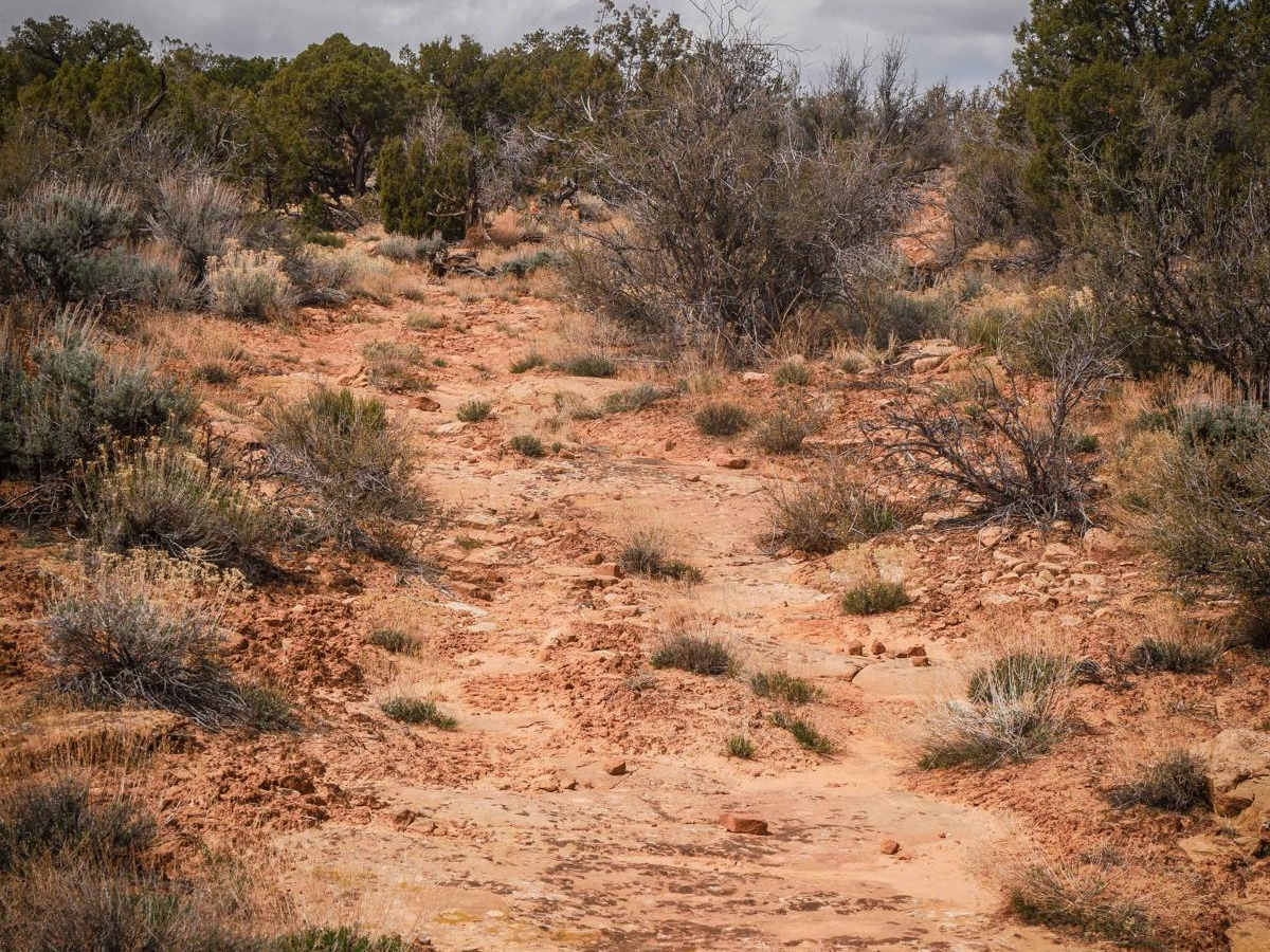 Dead End Spur photo 3