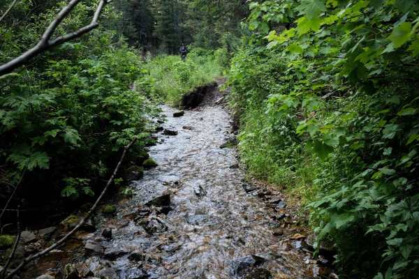 Big Creek