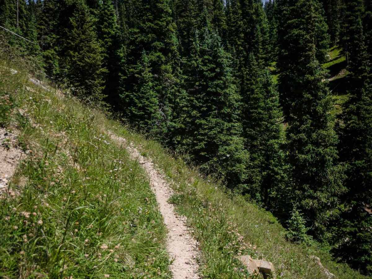 East Fork Trail photo 2