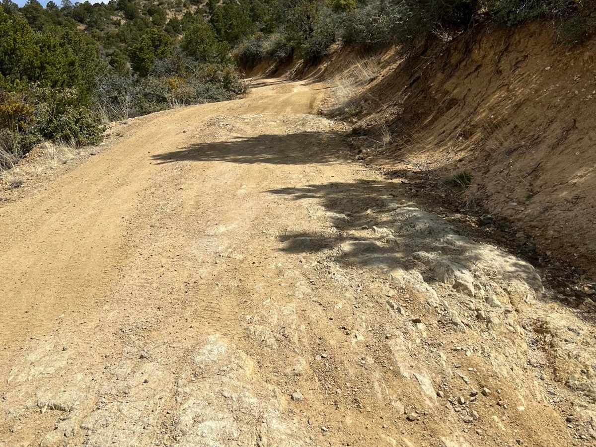 FS 836 Jacks Peak Road photo 5