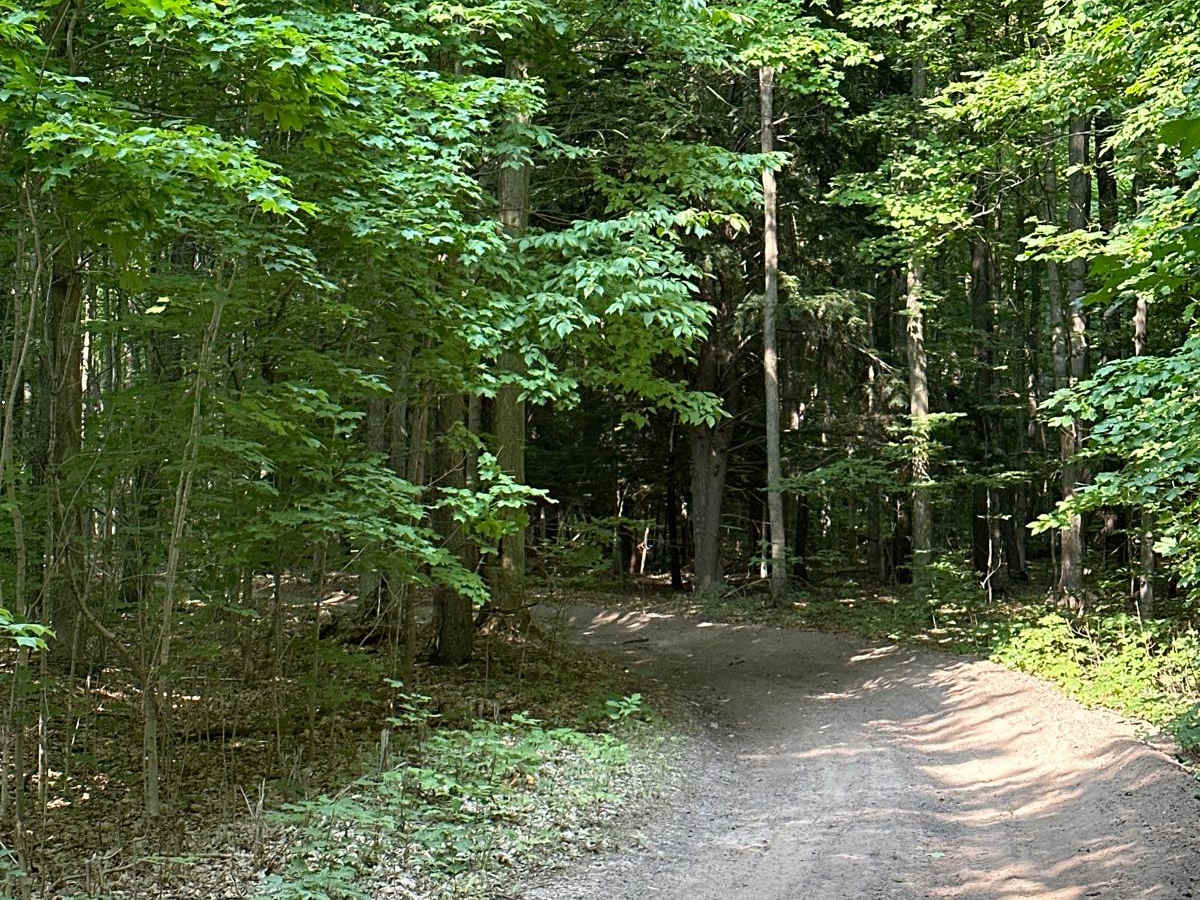 Turtle Lake Spur photo 2