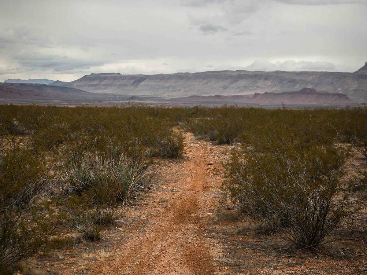 2055 Single Track photo 5
