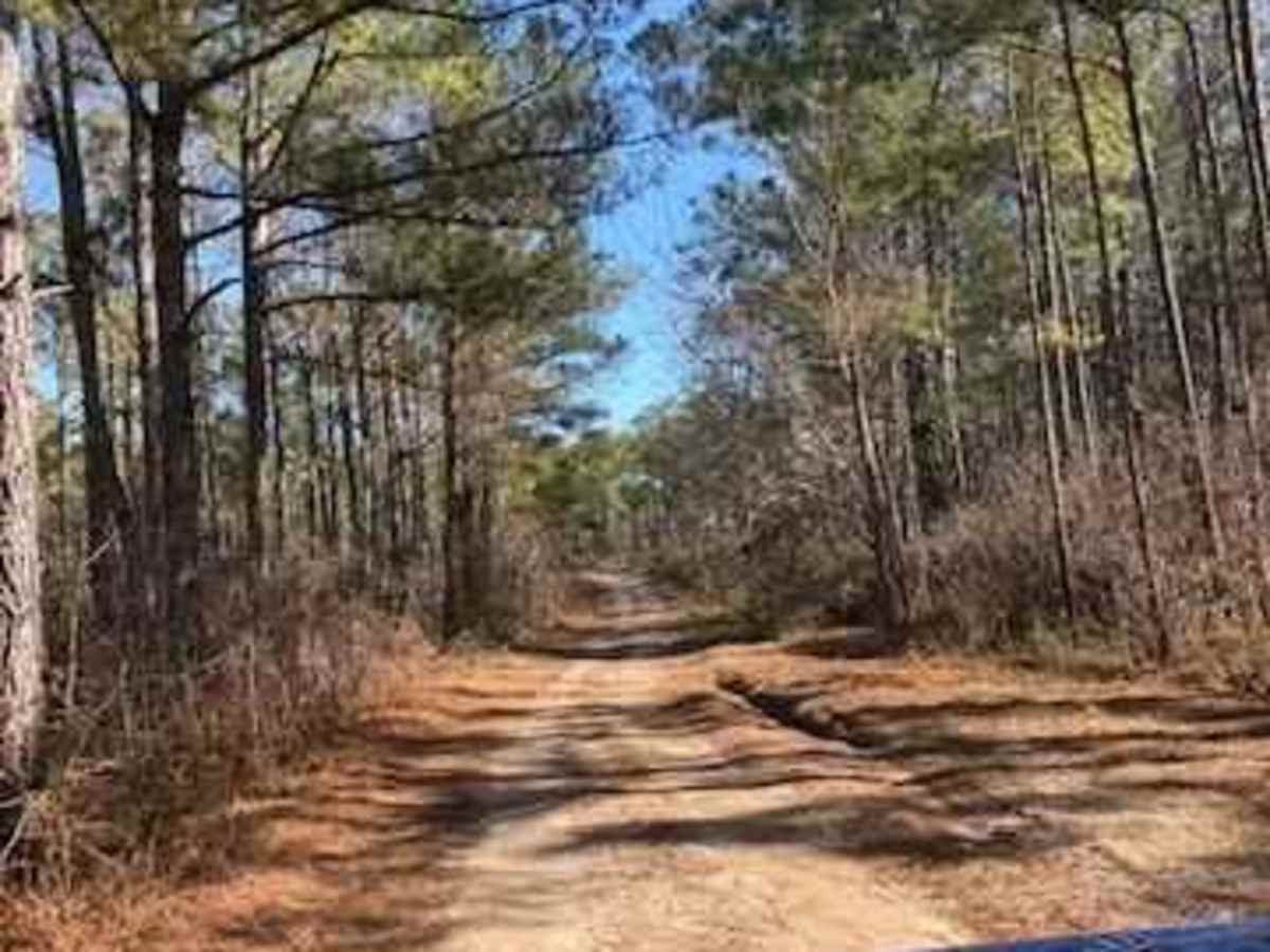 Pettiford Creek West Entrance photo 5