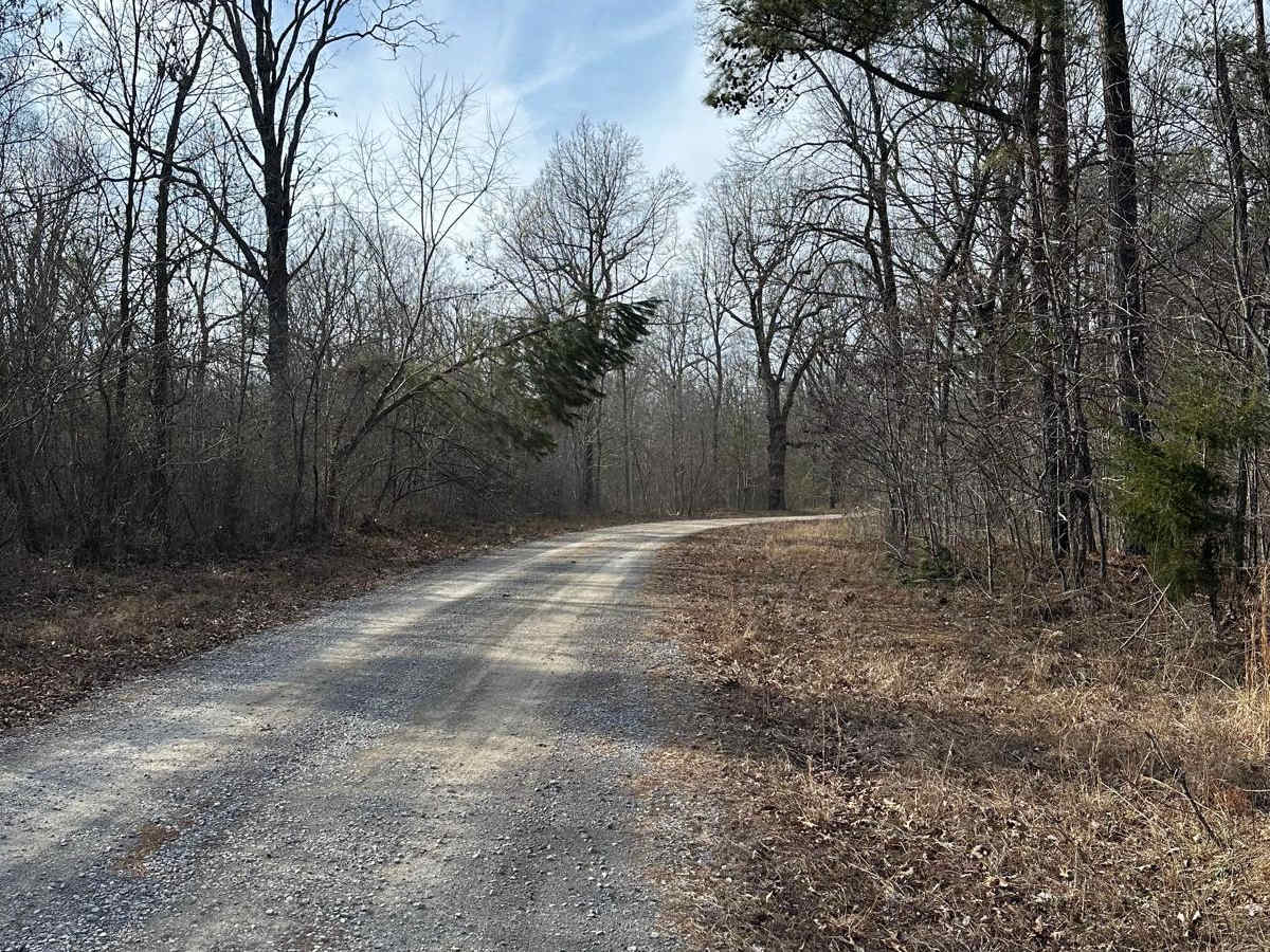 FSR 119 photo 5