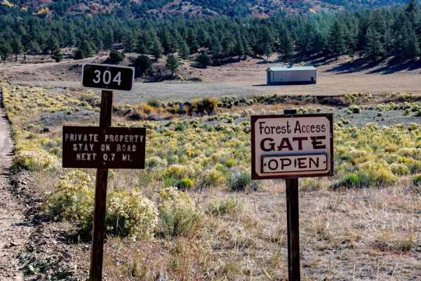 Bear Gulch Road FR 304