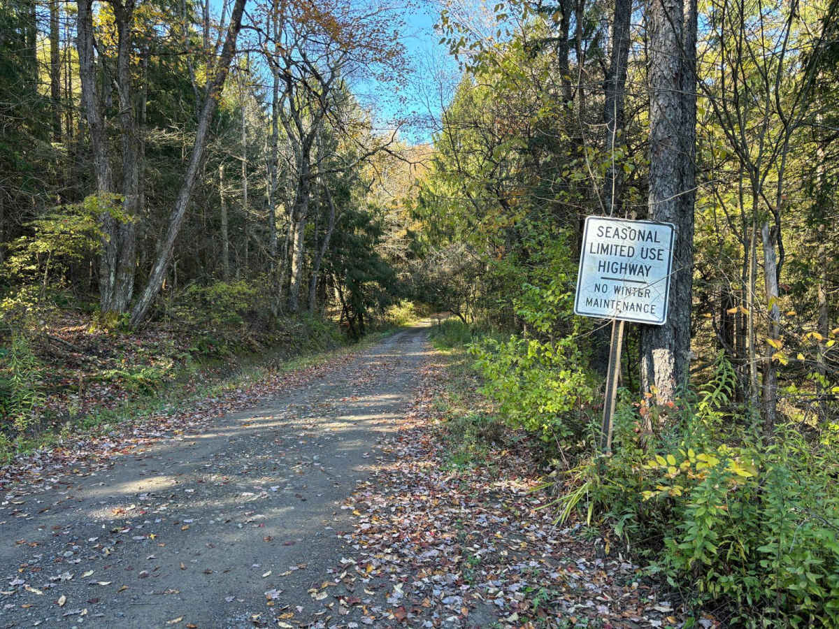 Linklaen State Forest photo 3