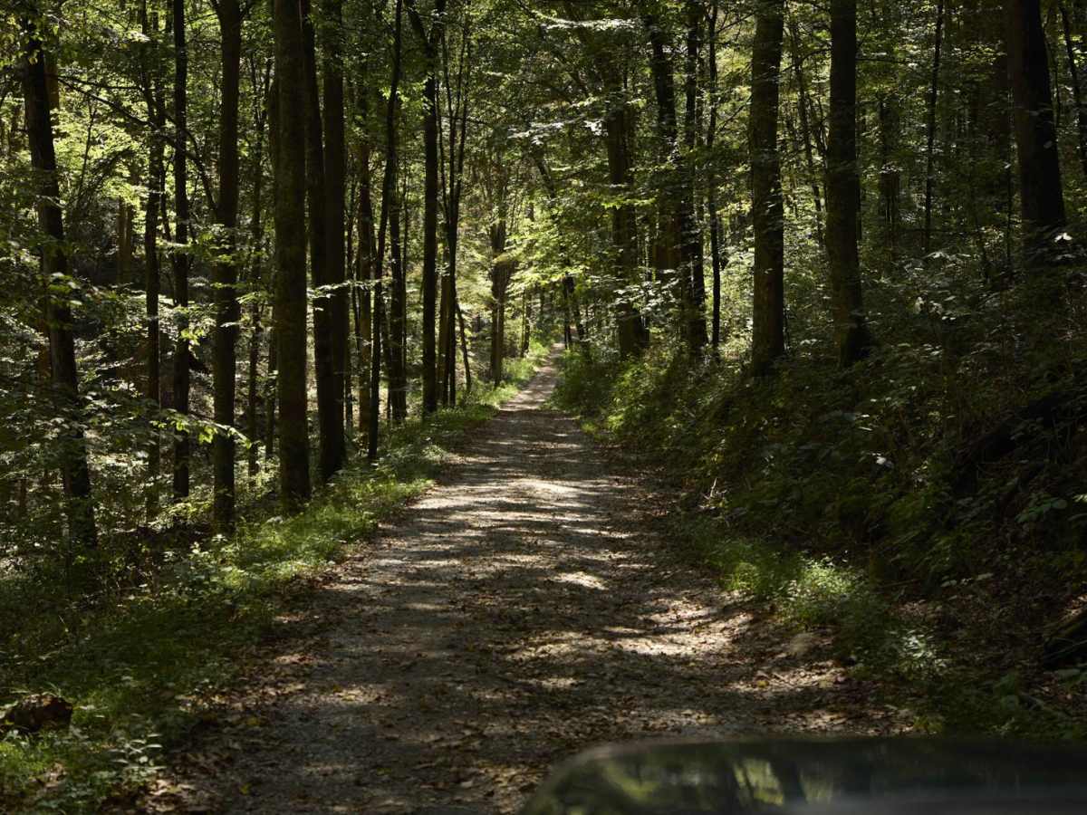 Ugly Creek - Mammoth Cave NP photo 3