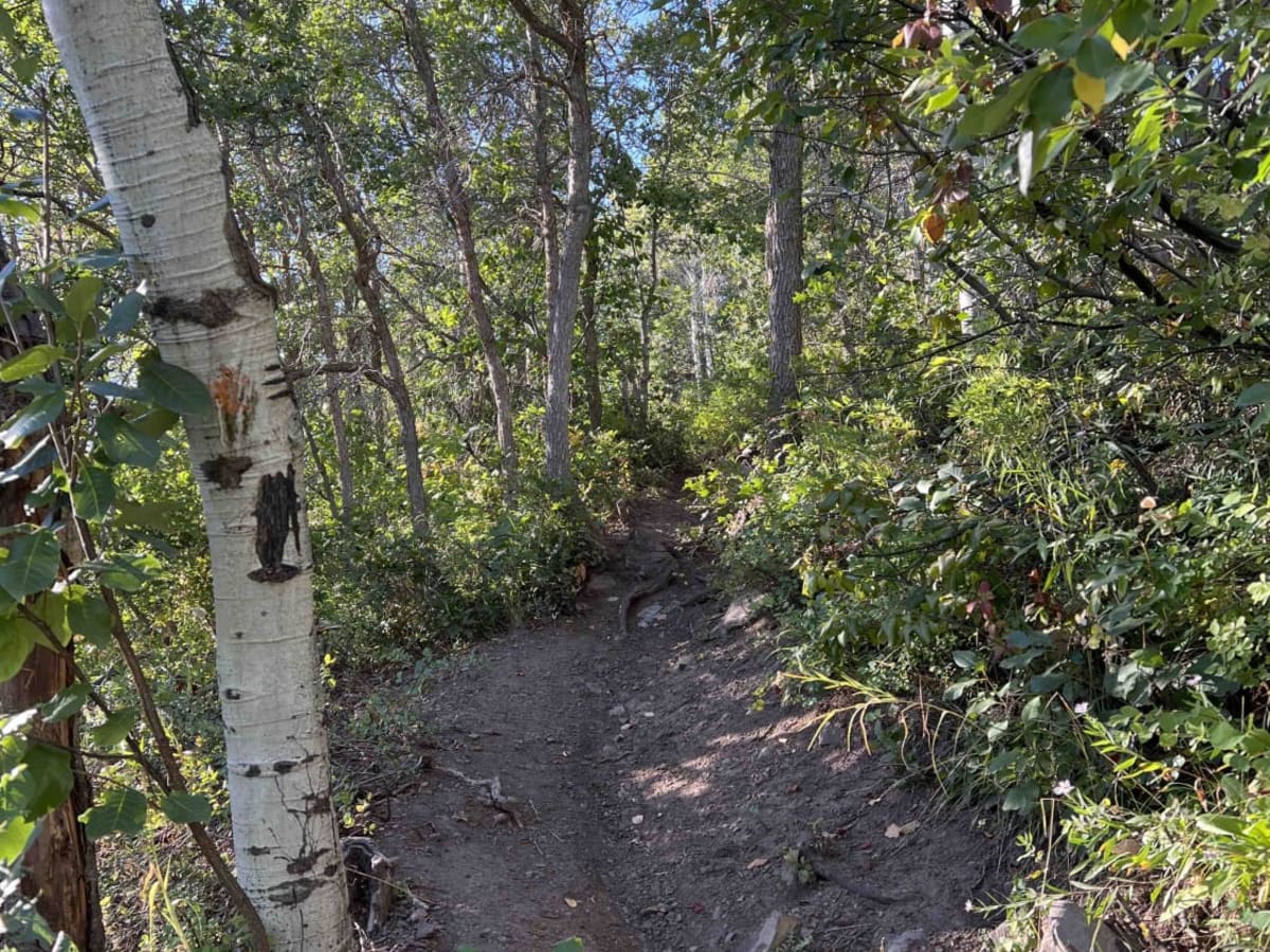 Ridge Connector (2216) photo 4