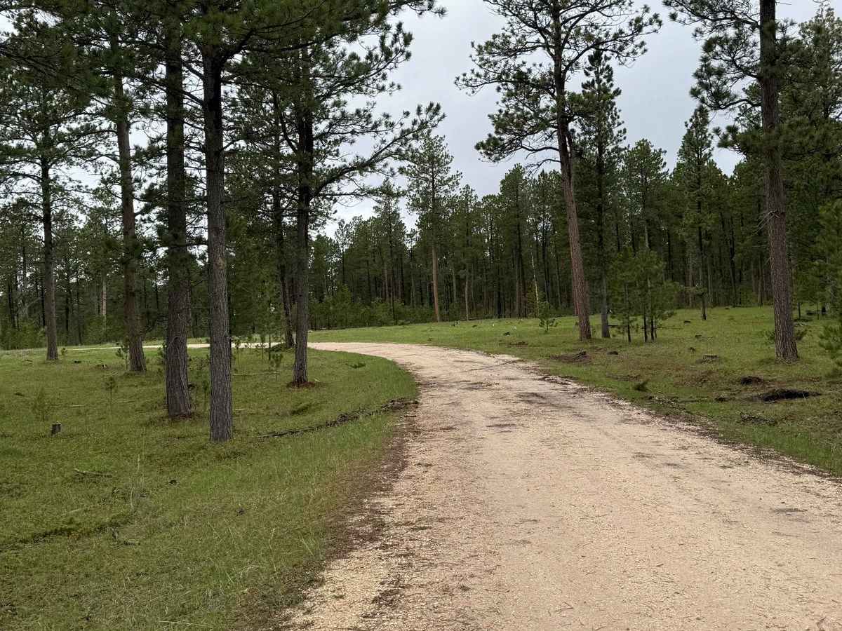 New Moon Loop trail photo