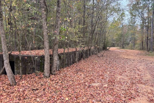 Old Railroad Bed