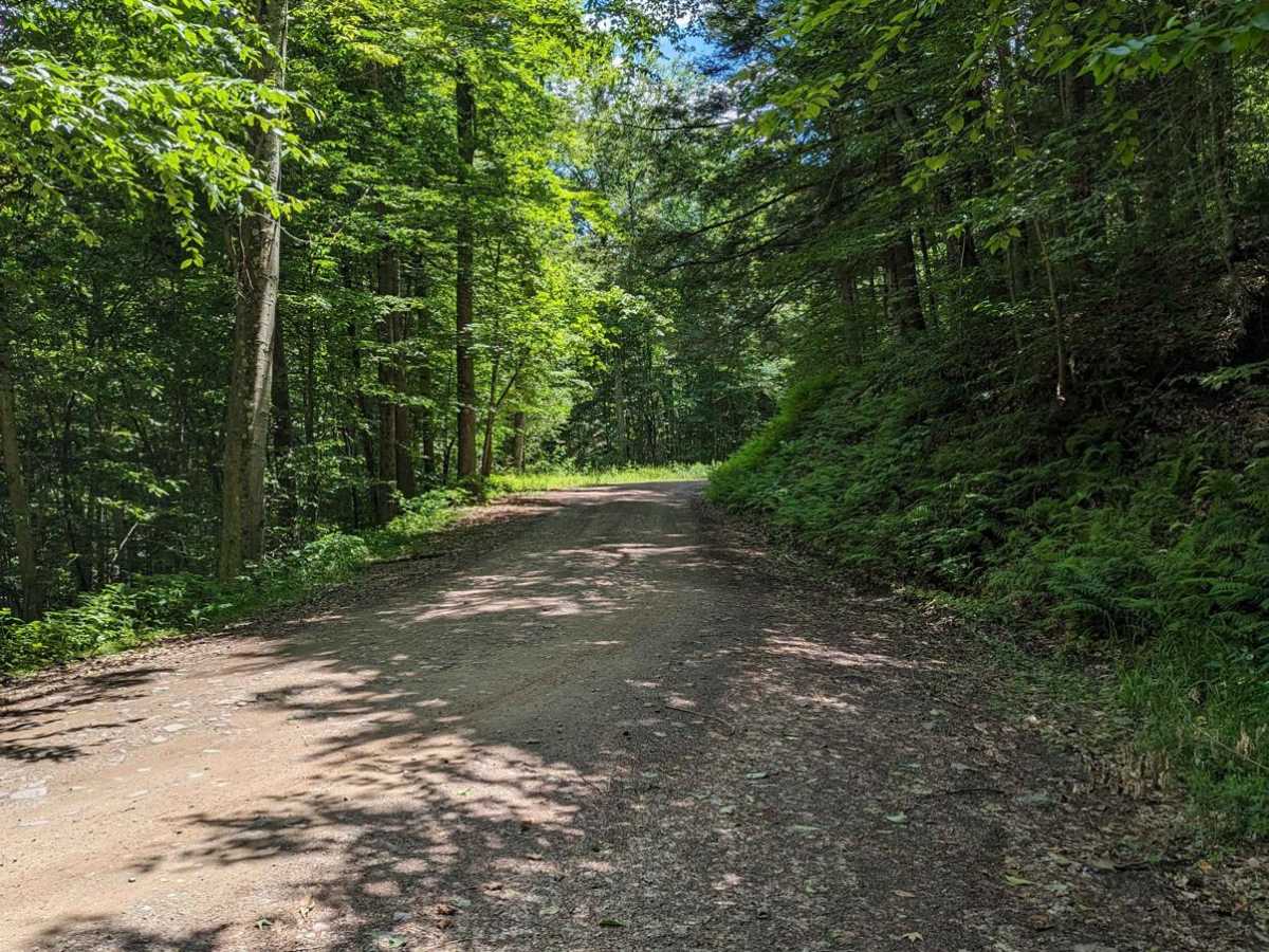 Rock Run Road photo 3