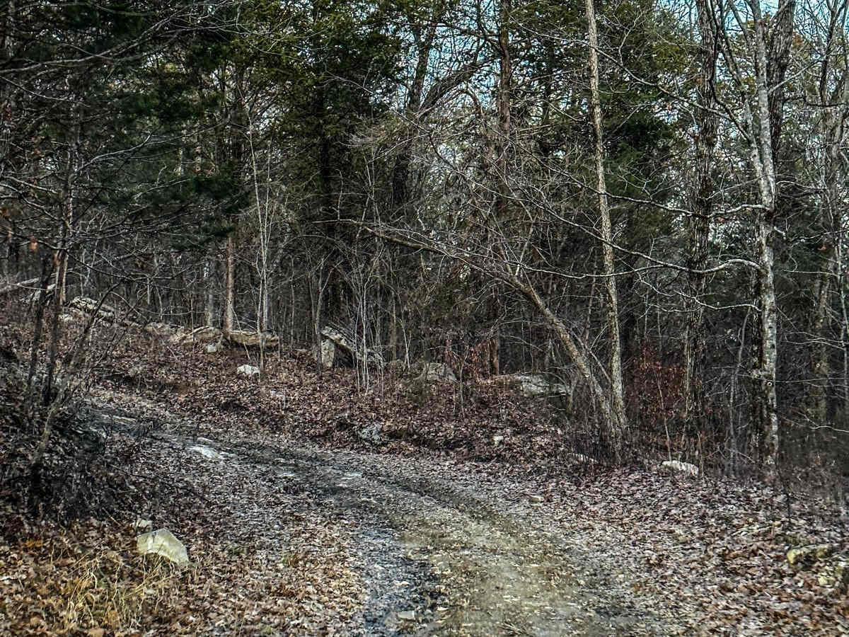Poplar Springs Trail trail photo