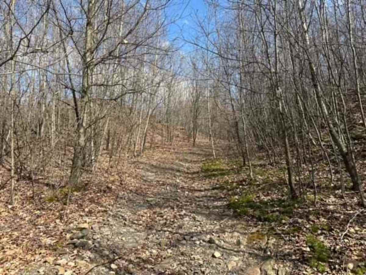 Ashland 109 trail photo