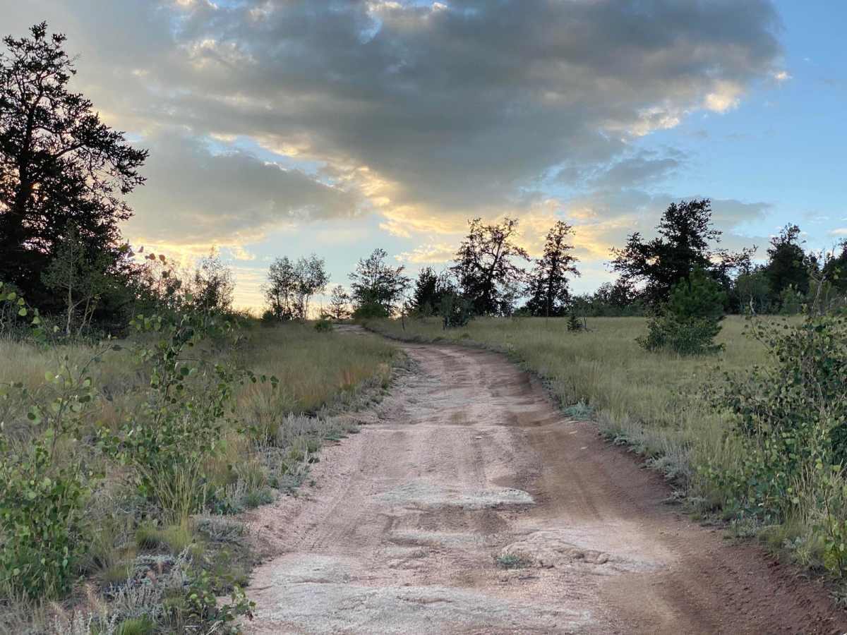 Berkey Road 831 photo 2
