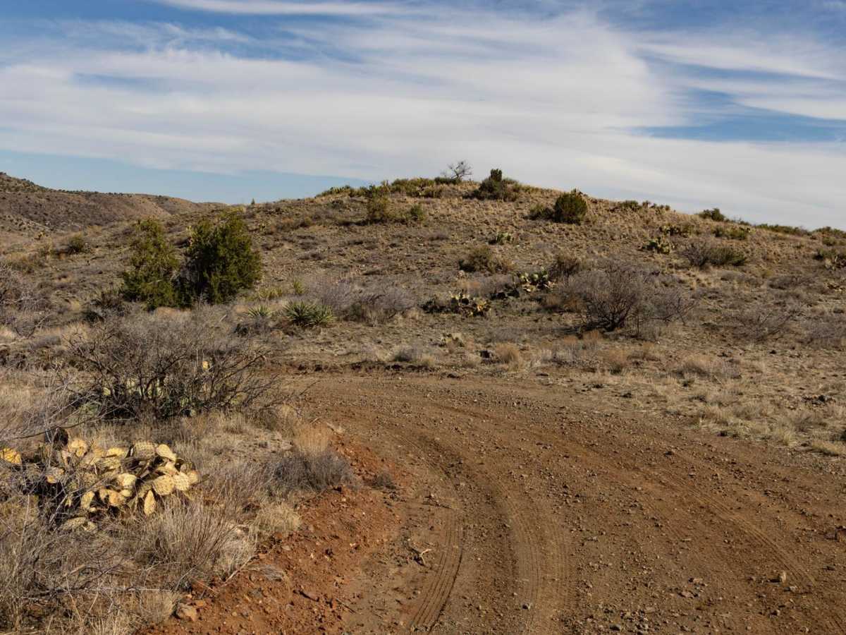Forest Bypass trail photo
