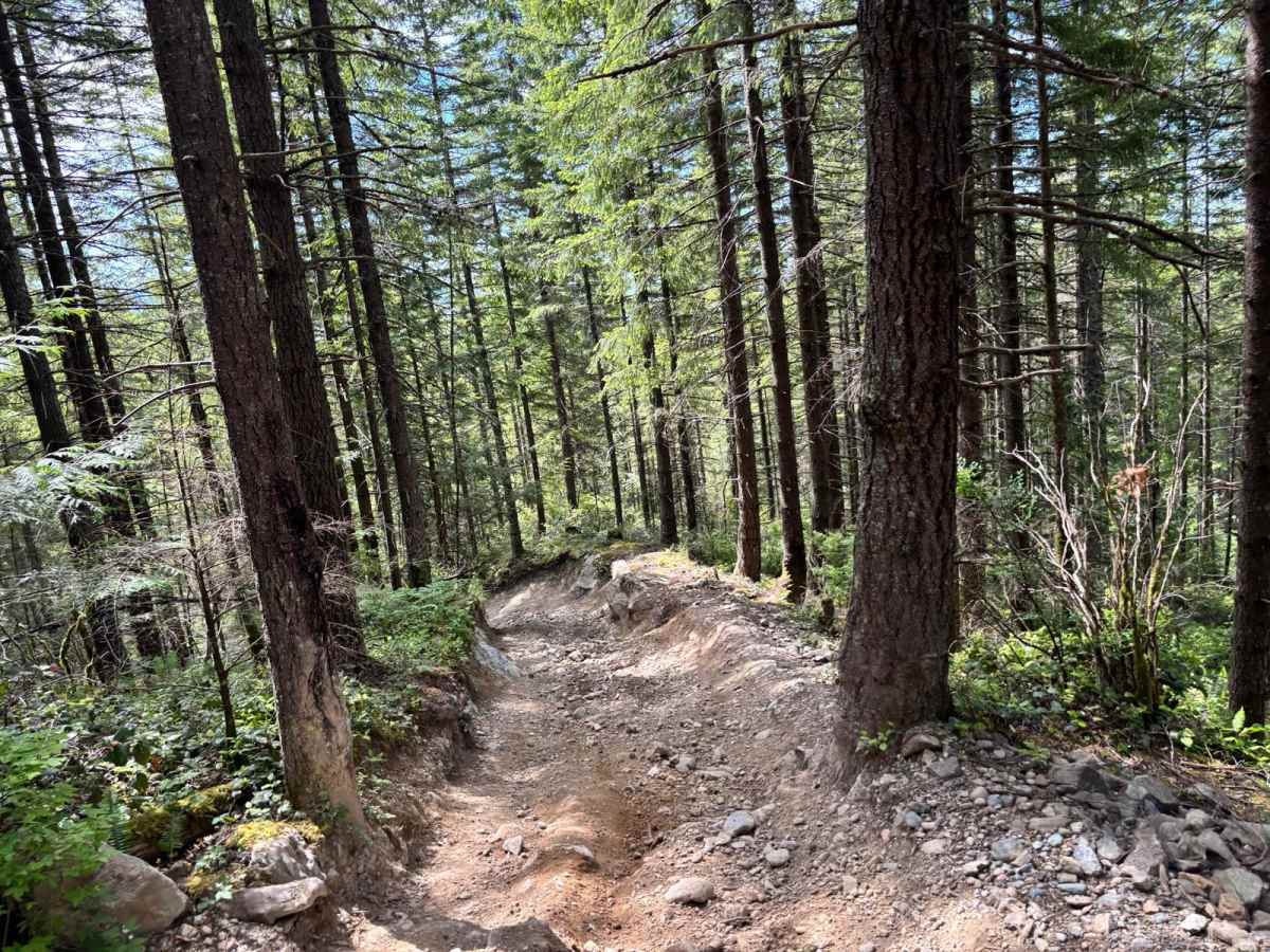 Ron's Run photo 5