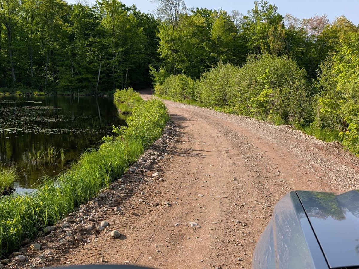 Long Pond Main Haul Road photo 4