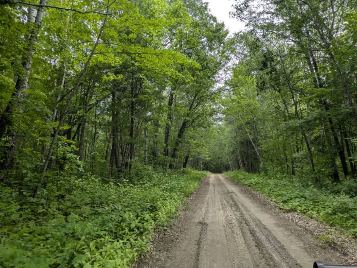 2364 trail photo