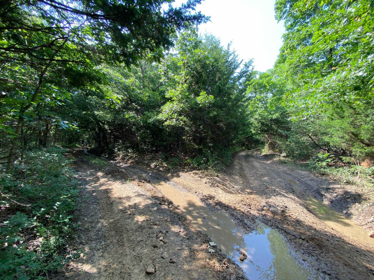Jeremy's Jaunt photo 3