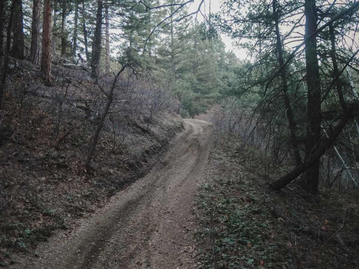 662 ATV Trail photo 4