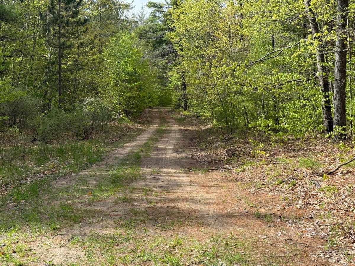 FS 3927 trail photo