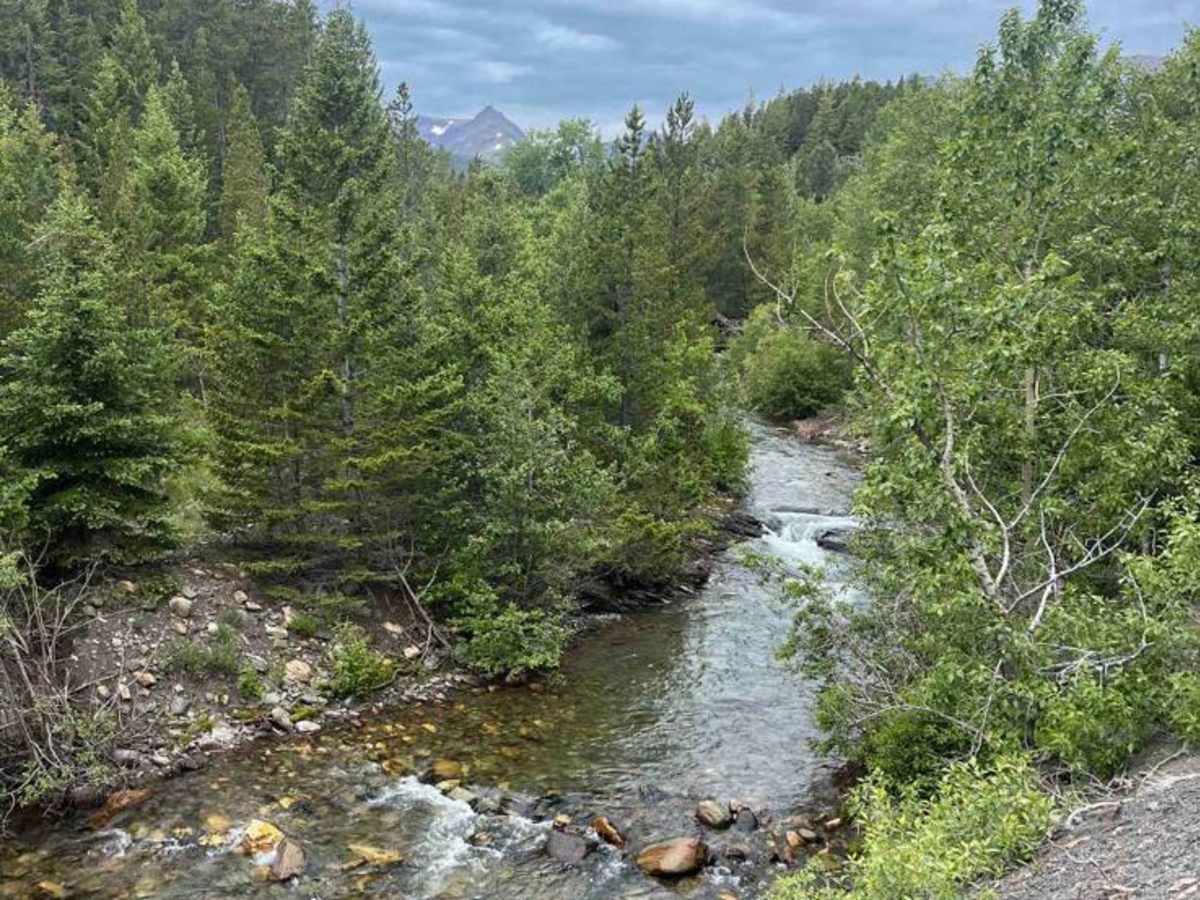 Junior Dam photo 2