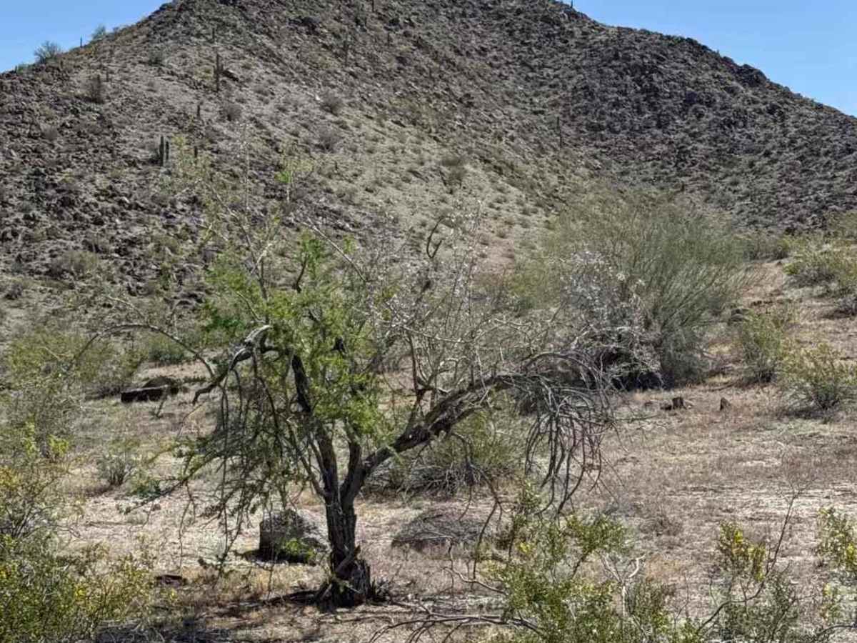 Stephens Point Trail photo 4