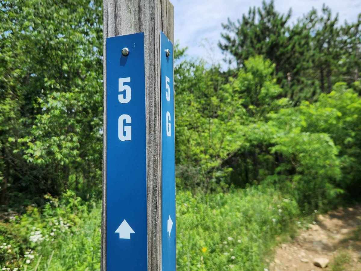 Trail 5G - Rock Run Recreation Area trail photo